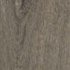 Mflor 40817 Parva Broad Leaf Smoky Sycamore 25-05 - Thumbnail Image 3